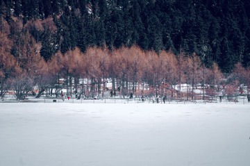 99685ECC-F254-4F1B-B3F6-18EF1E300E82/L0/001