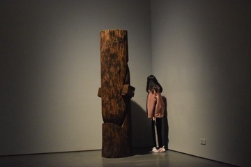 27081