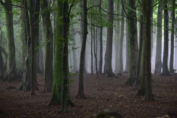 EF3B8B4F-37B5-4D0F-BA09-849DD9F09E49/L0/001