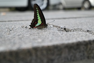 C5DEF65F-8779-4747-A9C5-1404968AB01D/L0/001