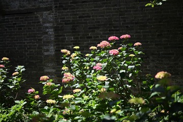3CD2E87B-1A4C-4C20-9887-E1F9B5A8AE16/L0/001