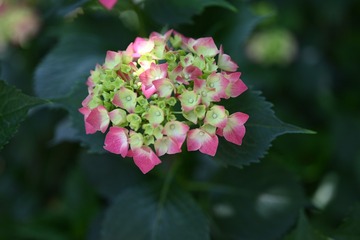 E838FF14-AE0B-46A1-9655-4518BBCEE8F4/L0/001