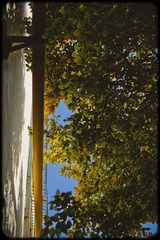 _SUN188920110623
