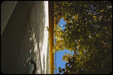 _SUN189020110623