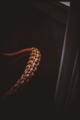 _SUN2458