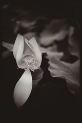 _SUN671620110730