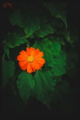 _SUN9178