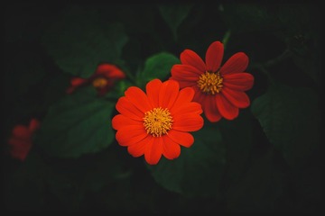_SUN9180