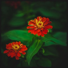 _SUN9174