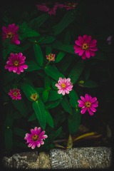 _SUN9190.jpg