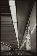 _SUN0180.jpg