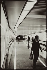 _SUN0166.jpg