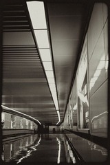 _SUN0181.jpg