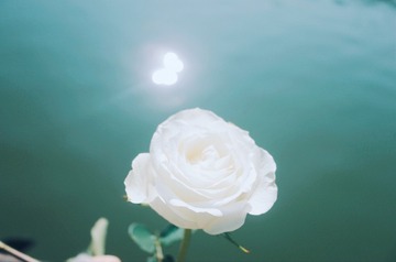 B36898E7-6169-4965-85FD-F1C08A6F5203/L0/001