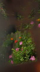 C2E318EE-EA6E-410D-BD69-B6B5BCE0A8B7/L0/001