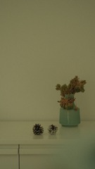 5B5D8858-252C-4949-A6C9-16803A3231B4/L0/001