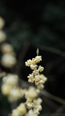 999D6595-C3E9-4F49-B018-1C748D646D0C/L0/001