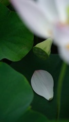 7637CB63-AE17-4401-AE16-3F471A0B25D8/L0/001