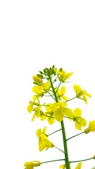 7556350B-E211-40C2-B675-4DFE44725981/L0/001