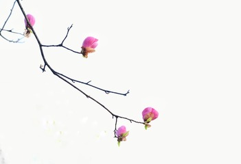 78E23F9B-78DC-4584-86A0-E0EF1D82C779/L0/001