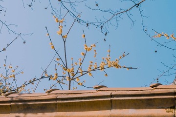 133013