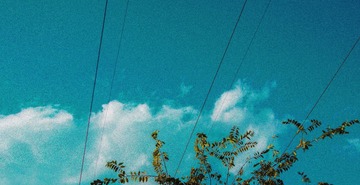 4281177