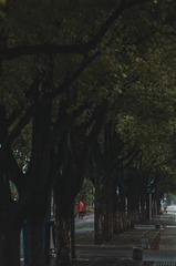 0A5F9911-5A35-4671-B84E-932B48A8F374/L0/001