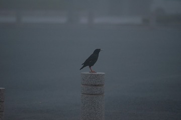 0B398588-260E-4644-98D2-F0E83FB03A37/L0/001