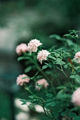 1886B173-2FD0-4051-9A1F-39CFC540C1E0/L0/001