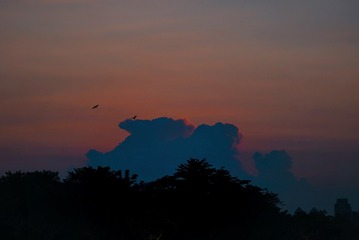 F036B82D-36CE-448A-9EF8-BD4347797B3D/L0/001