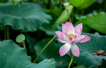 DSC_0662-2