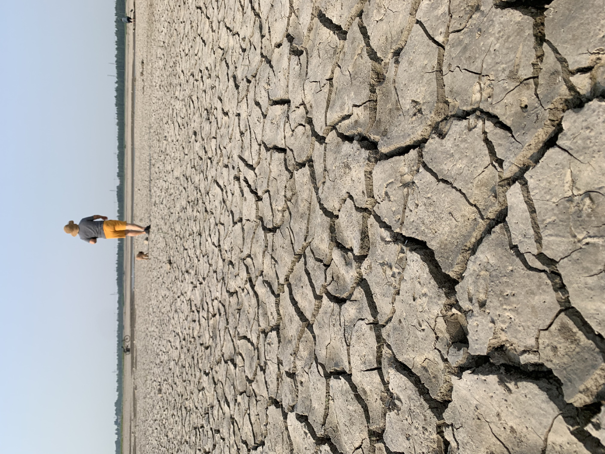 缺水干旱大地裂开了纹路.