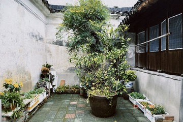 7EE40E57-B5A8-4F3B-A897-52F9FAA8F105/L0/001