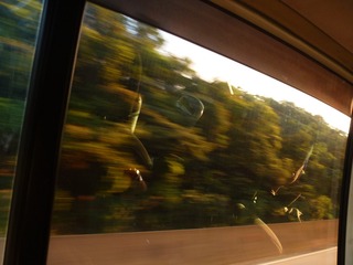 833827AF-4DF0-40A2-B145-9FDAC5E275AD/L0/001