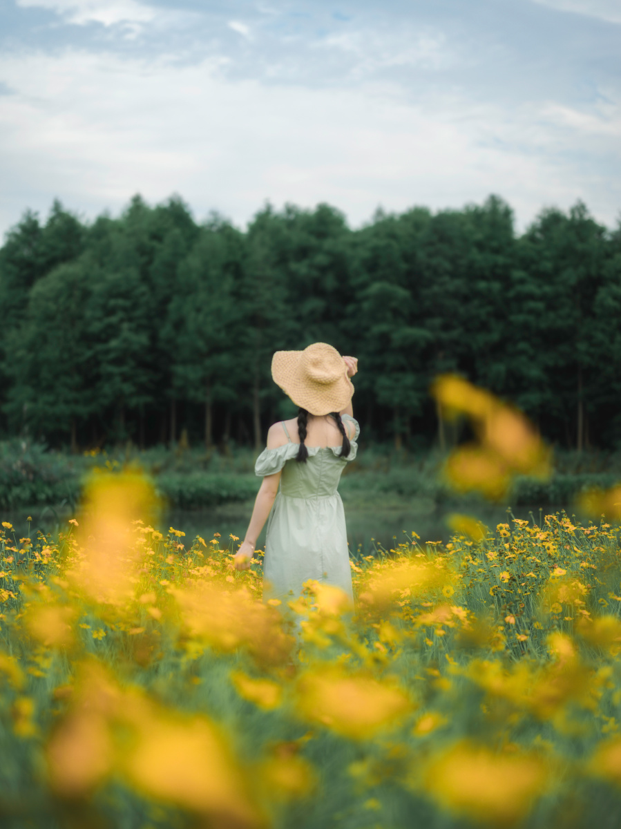 三垟湿地人像置身花海