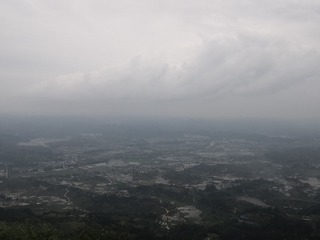 1000000252