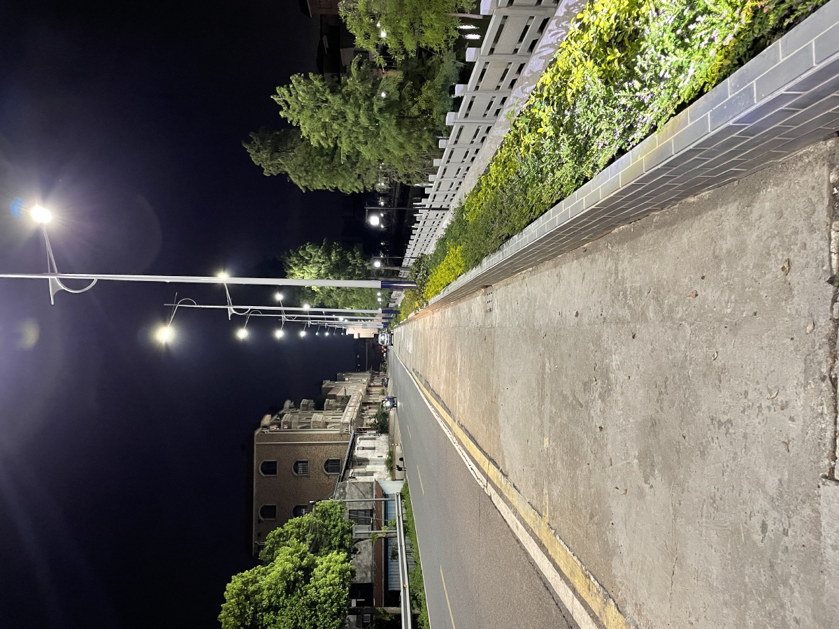 明亮路灯照暖每一位晚归的人