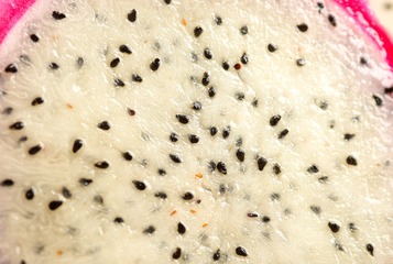 xiu-7319