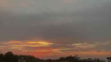 7399C7C5-6E61-4FF5-8EEE-D88E84EE418C/L0/001