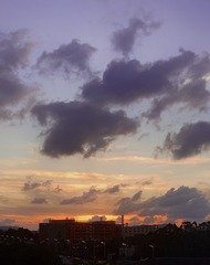 08F6A4DA-62A9-4461-8B2C-37CF323D9574/L0/001