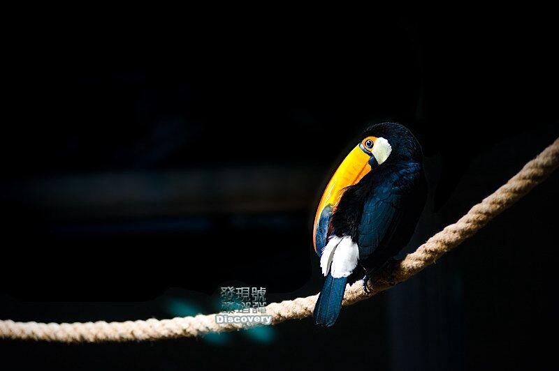 DSC_1134+<br />
