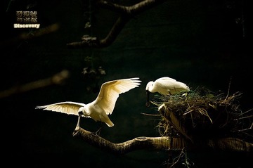 DSC_0205+