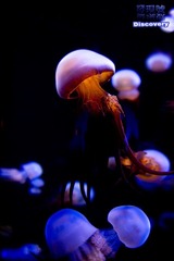DSC_0197+