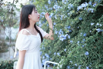 D23D12F8-4512-486B-B667-820DC5F33AAE/L0/001