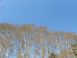 4688063