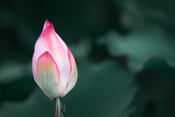 9863C98C-E5B1-4ACD-95C4-FF4D7039FBFD/L0/001