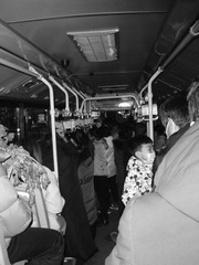216F7977-F3E2-4CC6-BB05-708014AD9CB1/L0/001