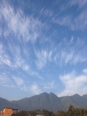 C8CC6549-2F8E-43F7-8A50-A83A29D65A76/L0/001