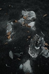 290621