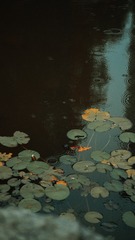 282817